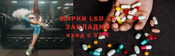 винт Алзамай