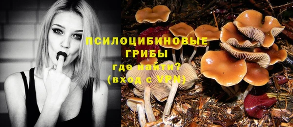 мяу мяу мука Алексин