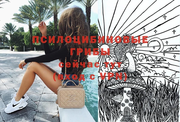 винт Алзамай